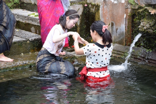 DSC 0493