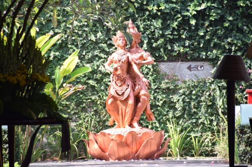 DSC 0622