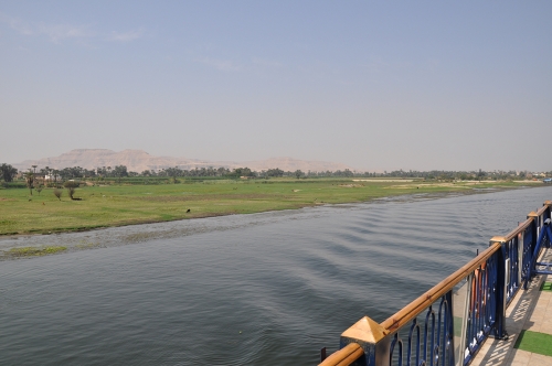 DSC 0134A