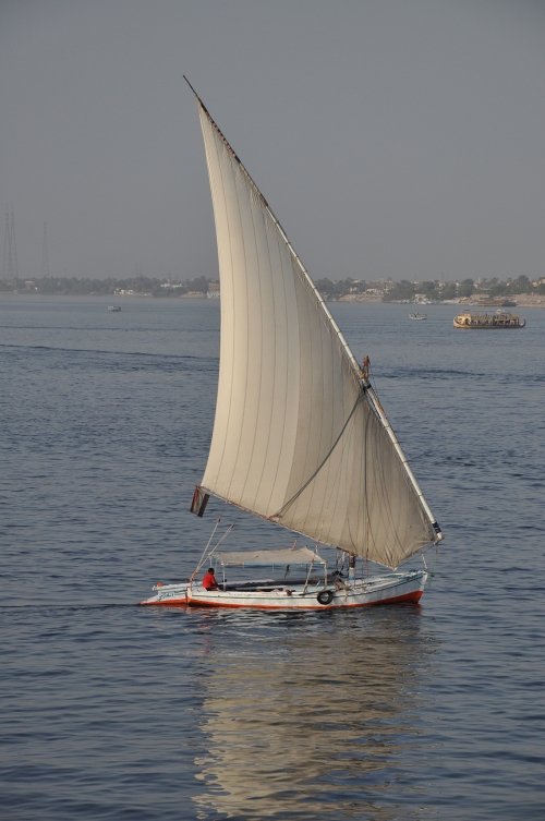 DSC 0454
