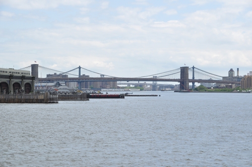 DSC_0424 (1)