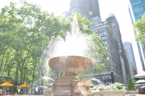 DSC_0539 (1)