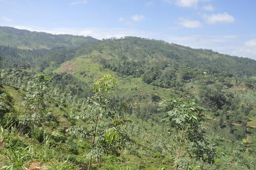 DSC 0651