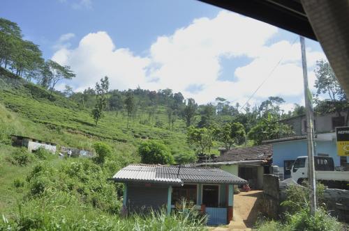 DSC 0654