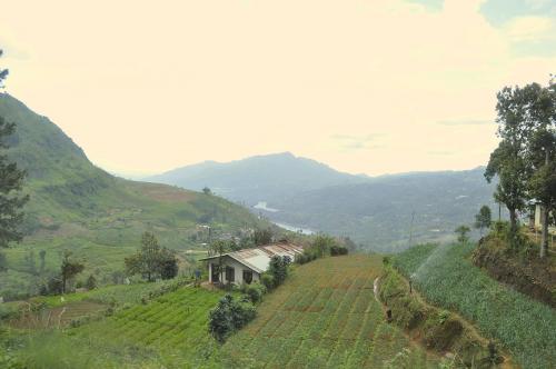 DSC 0723