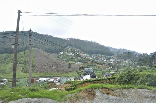 DSC 0729