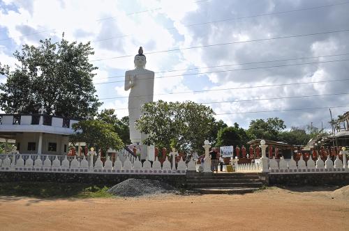 IMG 0606