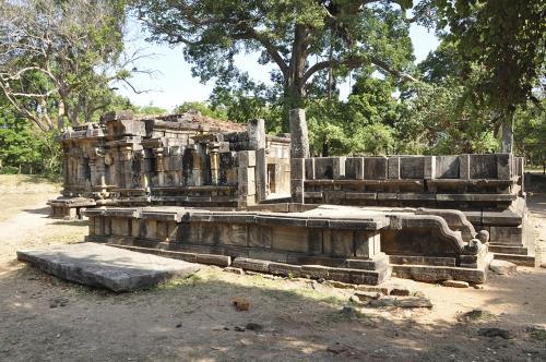 IMG 0642