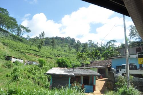 IMG 0955